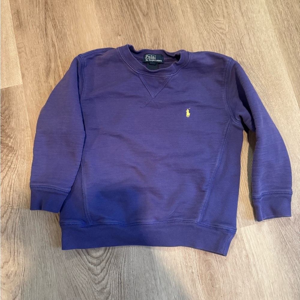 Polo by Ralph Lauren Men's Purple Sweater